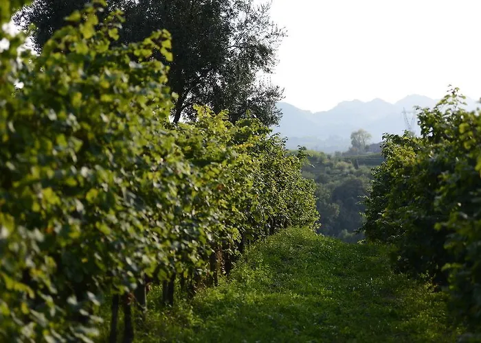 Duca Di Dolle Country house *