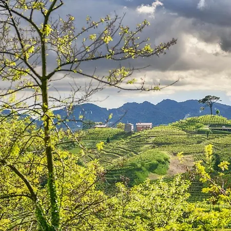 Duca Di Dolle Casa di campagna Rolle