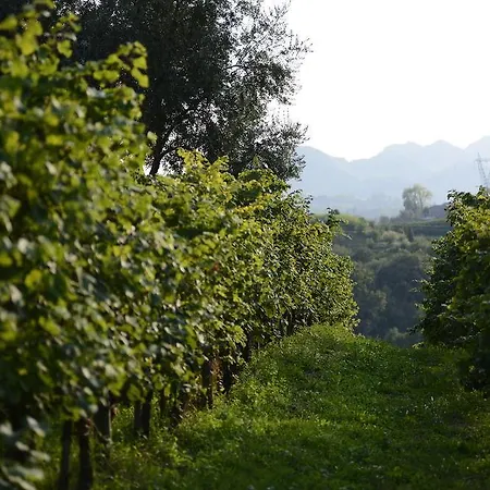 Duca Di Dolle Wine&relais Landhaus *